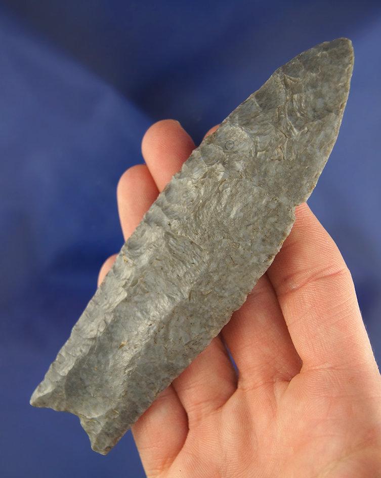 Rare! Large 4 15/16" Paleo Clovis fluted on both sides found in Christian Co., Kentucky.