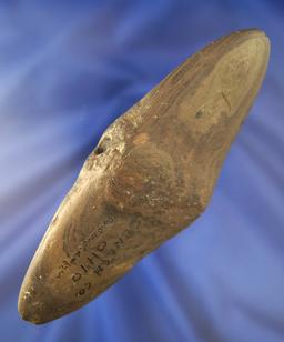 Partially drilled 5 7/8"" Winged Bannerstone found in Seneca Co., Ohio.