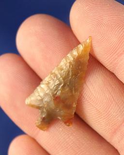 Exceptional! 1 1/4" Wallula with incredible flaking - highly translucent Agate - Columbia River.