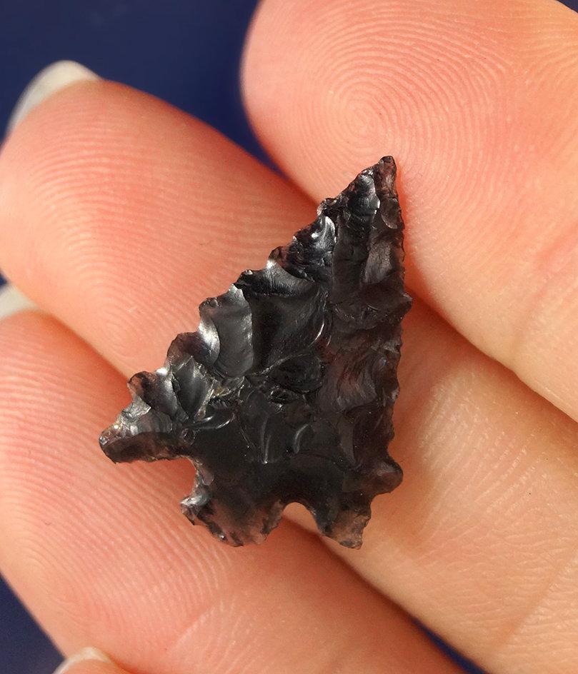 Calapooya Point, Obsidian, 3/4" L. Linn Co., Oregon.