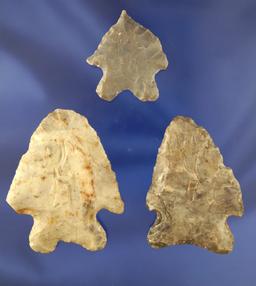 Set of 3 Bifurcate points found in Ohio. Largest is 2 1/8".