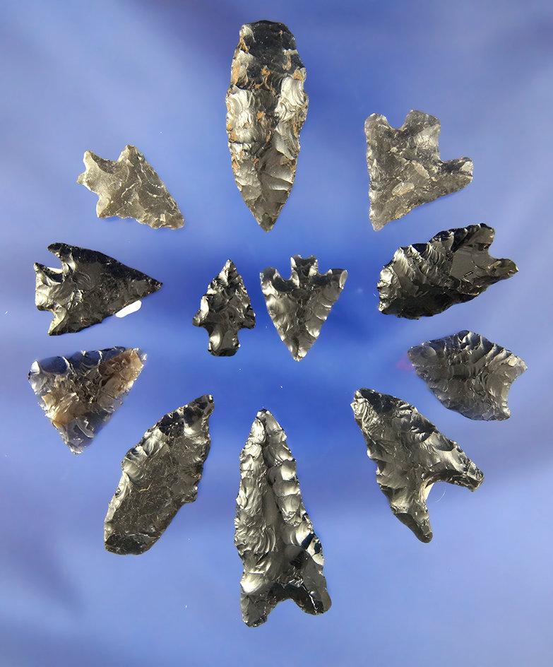 Set of 12 assorted obsidian arrowheads found in Oregon and Nevada. Largest is 1 9/16".