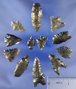 Set of 12 assorted obsidian arrowheads found in Oregon and Nevada. Largest is 1 9/16".