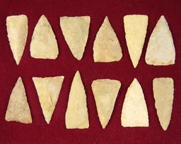 Frame of 12 Early Triangle Points found in Texas, largest is 2 1/2".