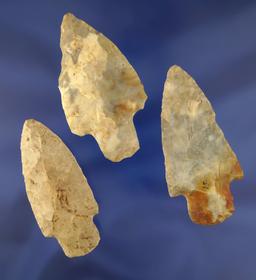 Adena Points from the frame of Norm Archer Adenas, pictured. Largest is 3 1/8".