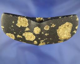 5 5/16" Porphyry Wing Bannerstone. Ex. Ron Bogg Collection.