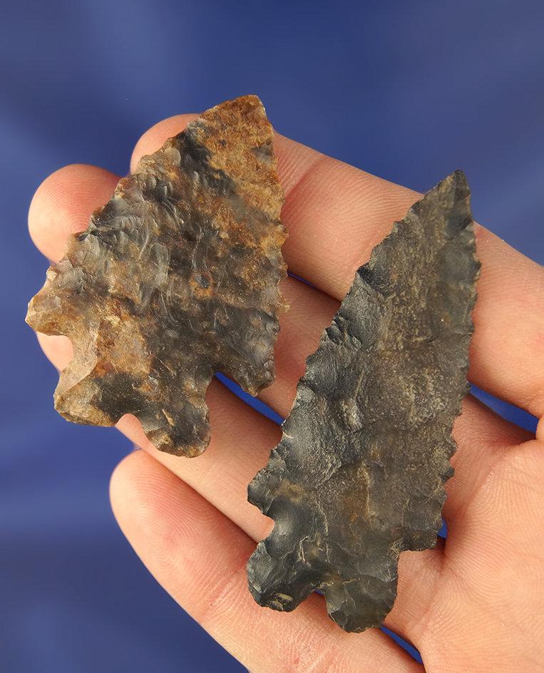 Pair of Archaic Bifurcates made from Coshocton Flint, Coshocton Co., Ohio, largest is 2 1/2".