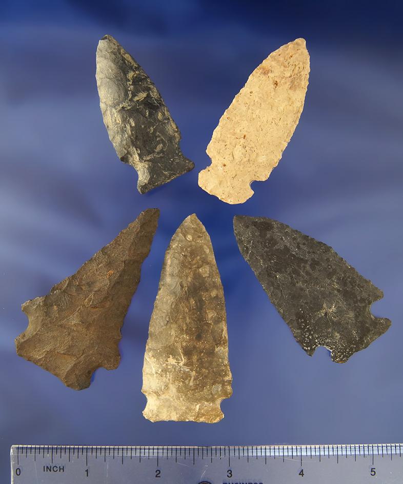 Set of five assorted Flint Arrowheads found in Ohio in good condition, largest is 2 7/8".