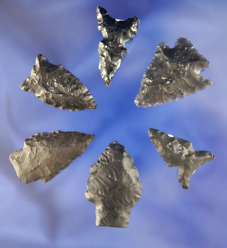 Set of six assorted Obsidian Arrowheads found in Oregon and Nevada.