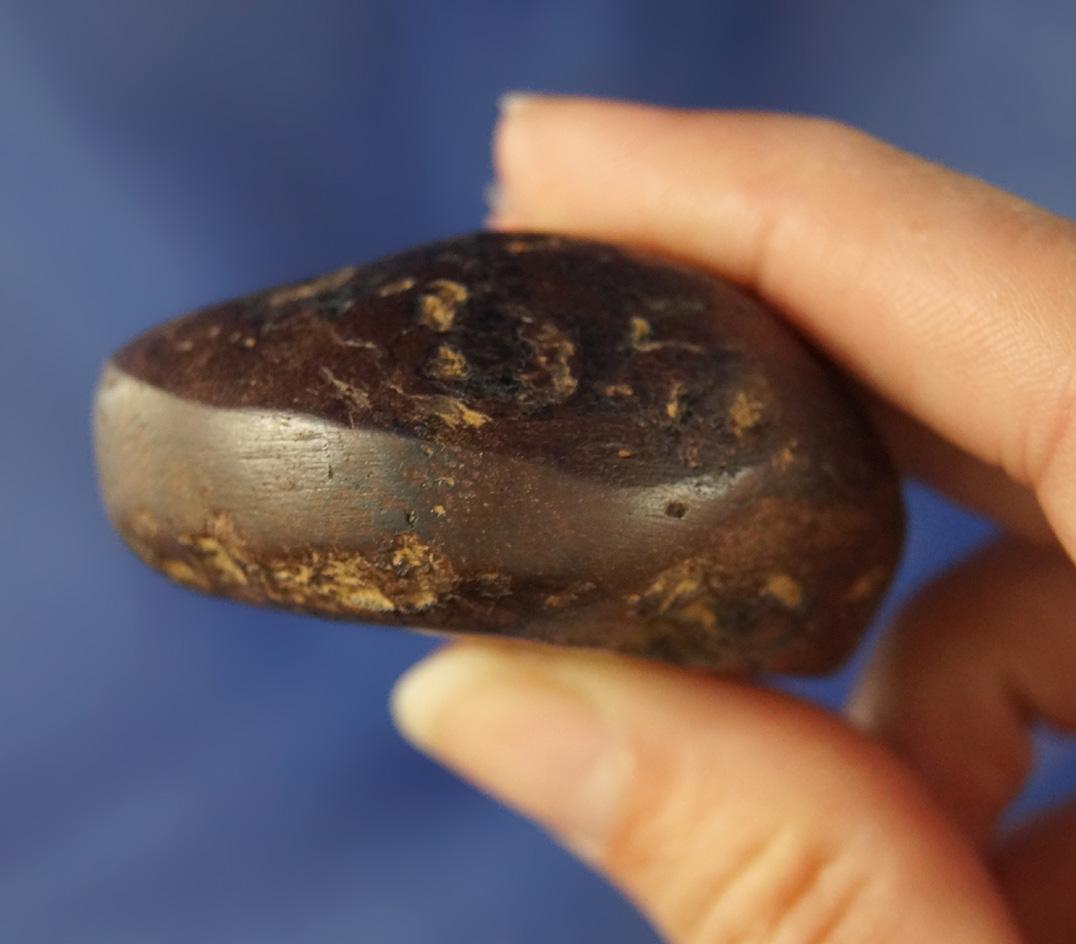 2 3/16" Hematite Cone with rare ridge around the circumference found in Tennessee.