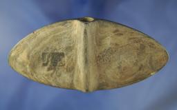 5 3/8" Winged Bannerstone found in Erie Co.,  Pennsylvania. Bennett and Davis G – 10 COA's.