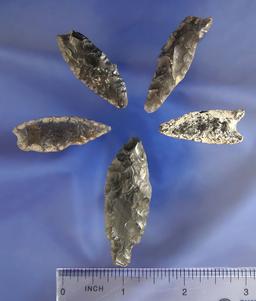 Set of four Obsidian arrowheads, largest is 2 1/16" found in Idaho and Oregon.