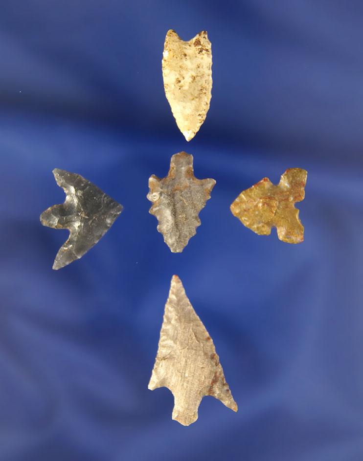 Set of five nice Arrowheads found near the Columbia River. Largest is 1 1/8".