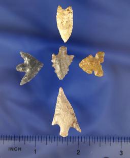Set of five nice Arrowheads found near the Columbia River. Largest is 1 1/8".