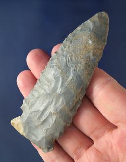 3 1/2" Hornstone Stillwell found in Kentucky.