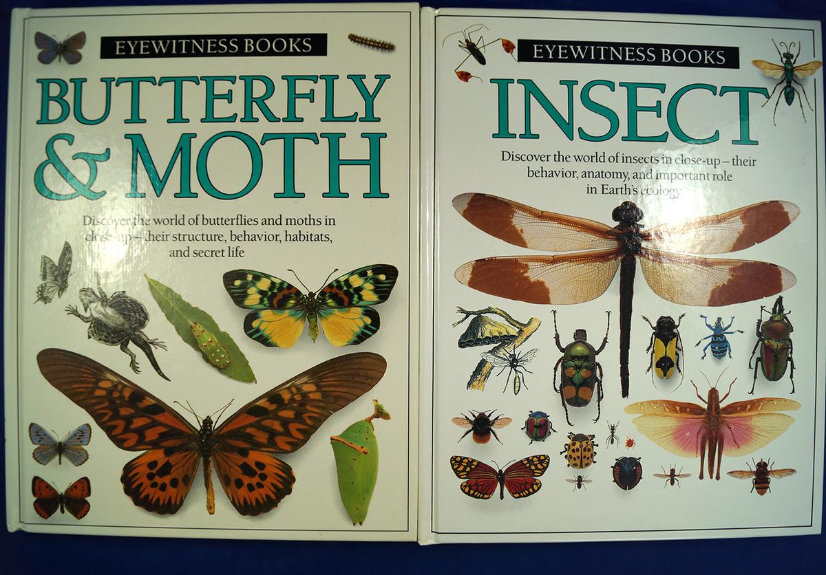 Pair of hardback  Eyewitness Books: "Butterfly & Moth" and "Insect".