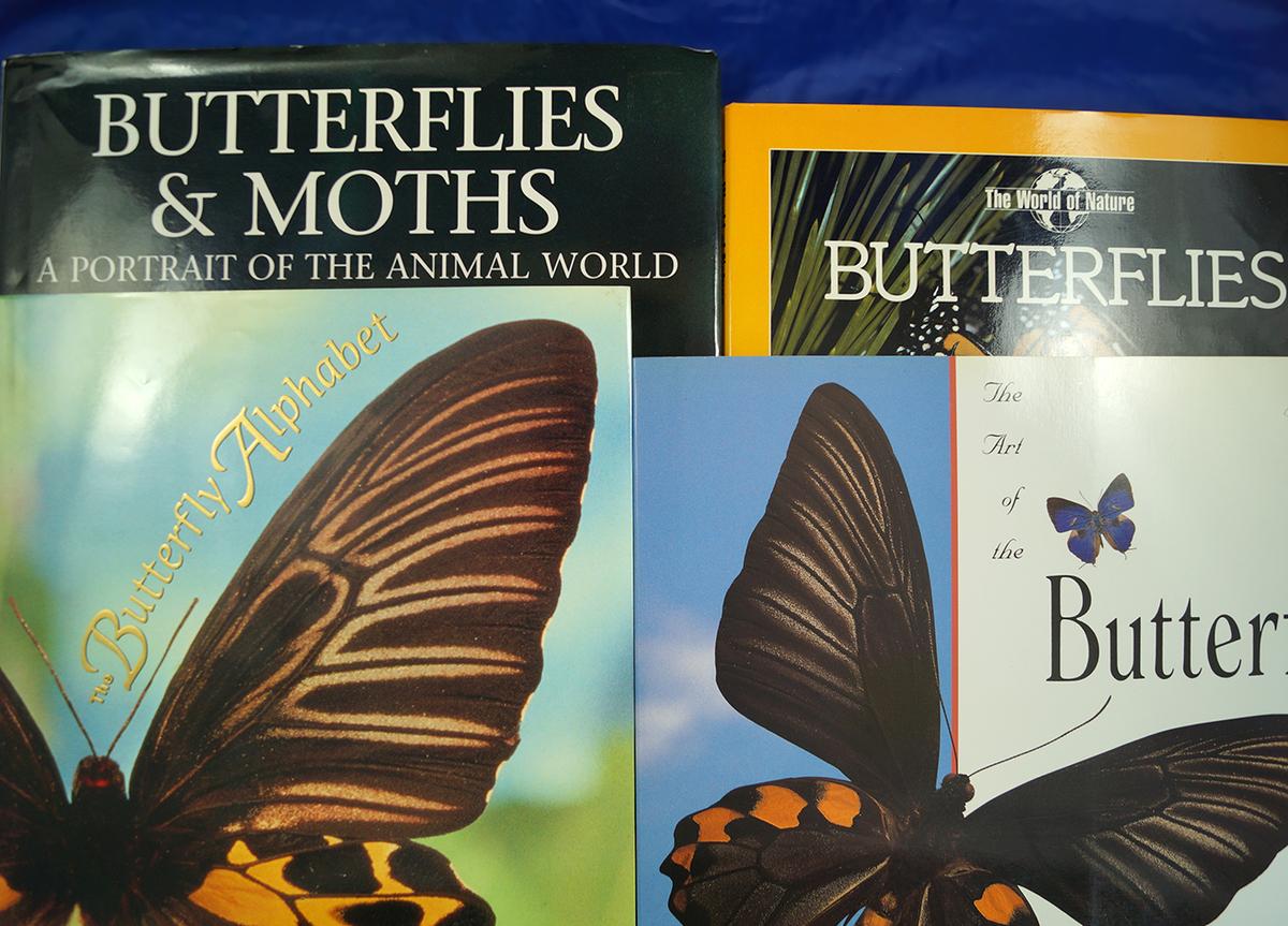 Group of 4 books: "The Art of the Butterfly", "Butterflies", "The Butterfly Alphabet", and "Butterfl