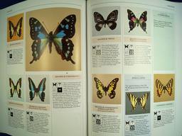 2 Hardcover books: "Butterflies of the World" by Sbordoni and Forestiero, and "The Encyclopedia of B