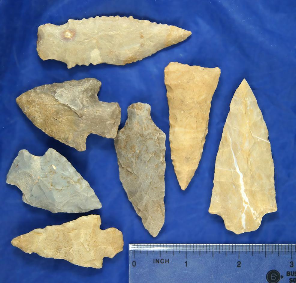 Set of seven assorted Midwestern Arrowheads, largest is 2 7/8".