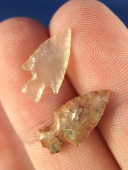 Pair of Columbia River Gempoints,  found by Doc Powers near Wishram