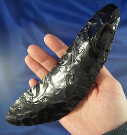 Very large 8 1/8" black Obsidian Crescent Knife found in the Great Basin Region  Stermer COA.