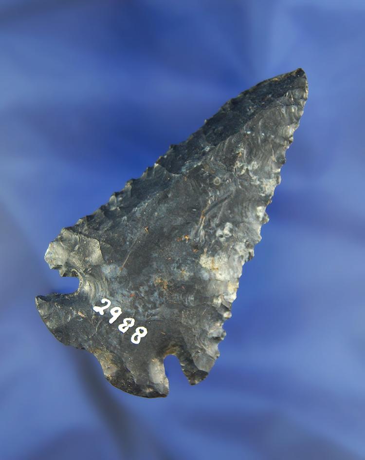 Excellent serrations - beveled 3 1/16" Coshocton Flint Notched Base Dovetail - Wood Co., Ohio.