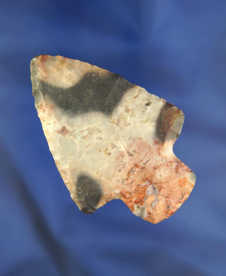 2 13/16" Colorful Flint Ridge  Adena - Perry Co., Ohio.  Ex. Homer Frush, Doug Hooks. Pictured