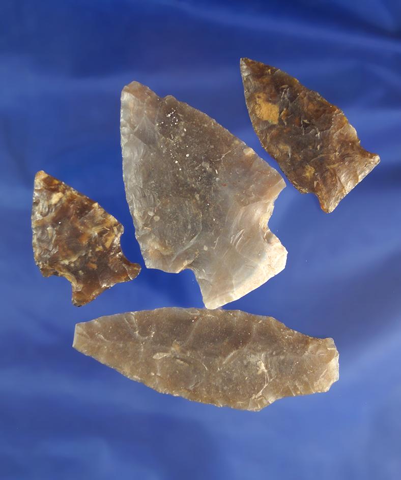 Set of four arrowheads found in South Dakota, largest is 2 9/16".