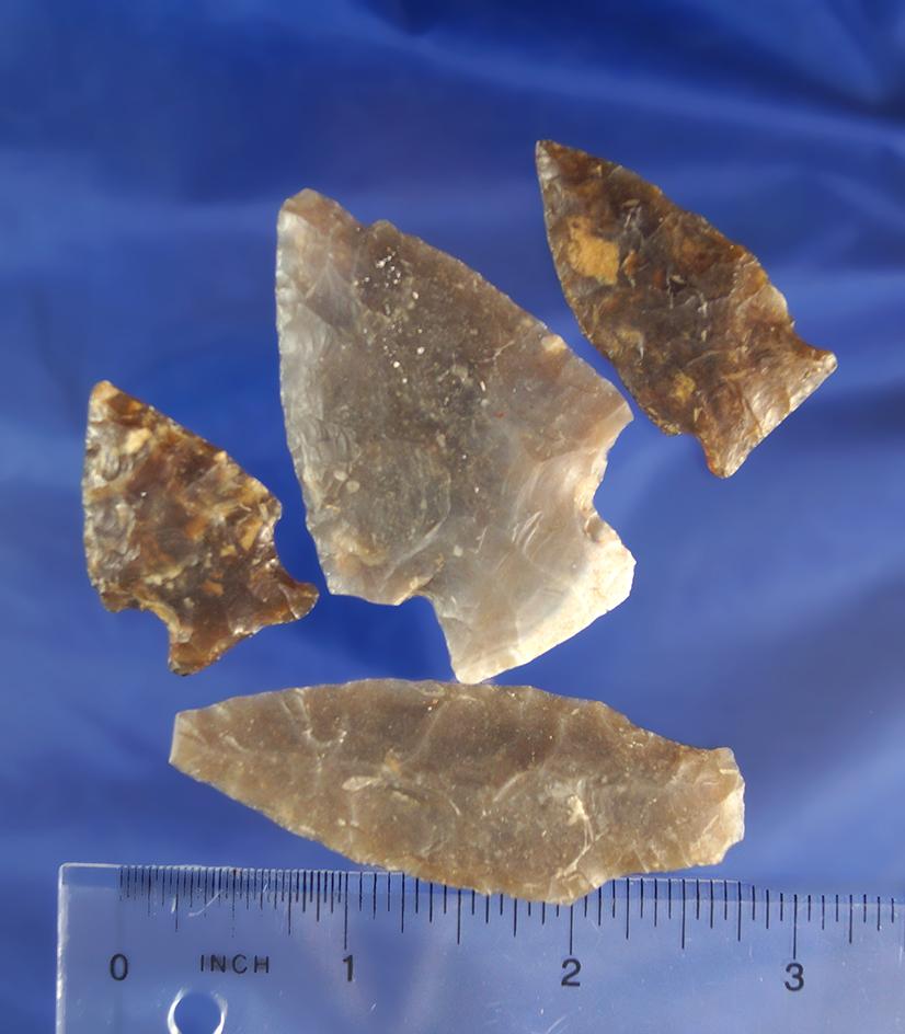 Set of four arrowheads found in South Dakota, largest is 2 9/16".