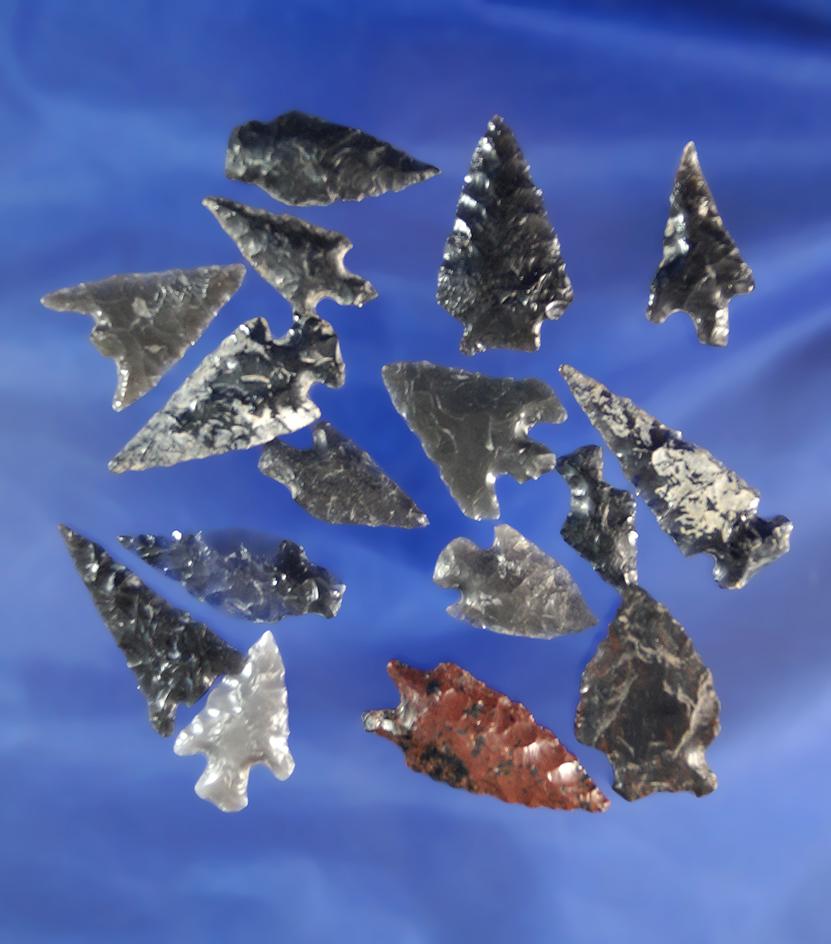 Set of 15 Obsidian arrowheads found in Oregon, largest is 1 1/4".