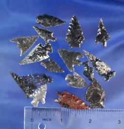 Set of 15 Obsidian arrowheads found in Oregon, largest is 1 1/4".