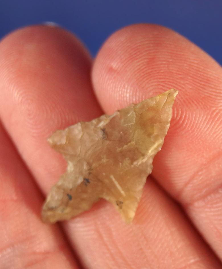 15/16" nicely styled translucent Birdpoint found in the western U.S.