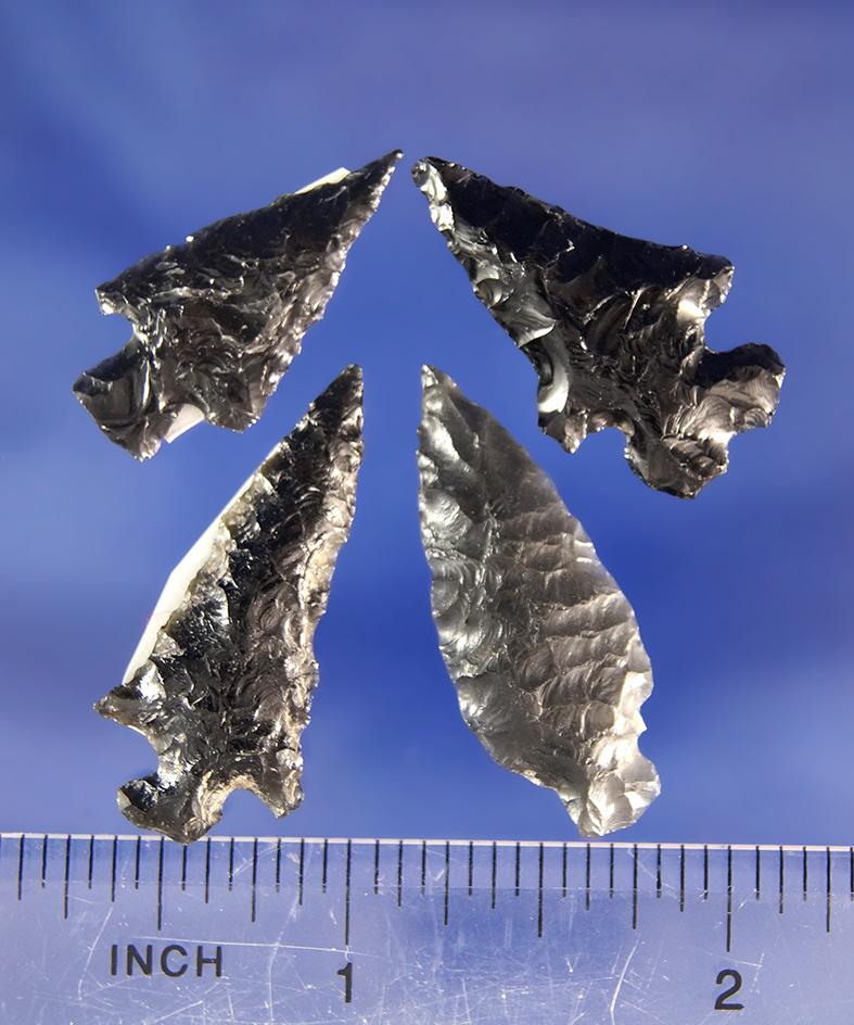 Set of four Obsidian arrowheads found in California largest is 1 5/16".