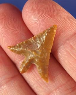 7/8" Gempoint with nice swept wings in excellent flaking found by Kaye Don Bruce, Washington.