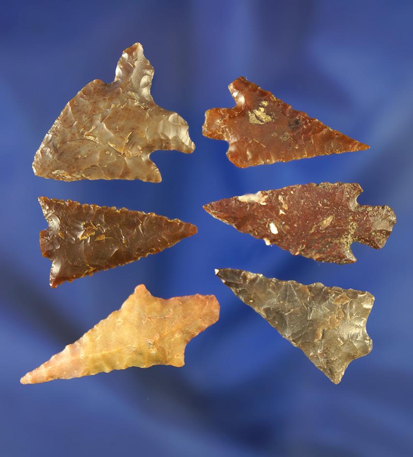 Group of six assorted Columbia River arrowheads, largest is 1 1/2".