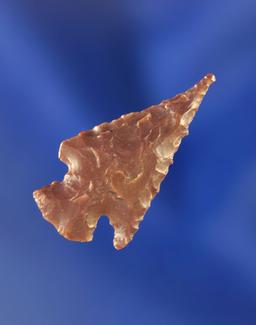 1" Foothill Corner Notch that is nicely flaked from Red Jasper. Wyoming.