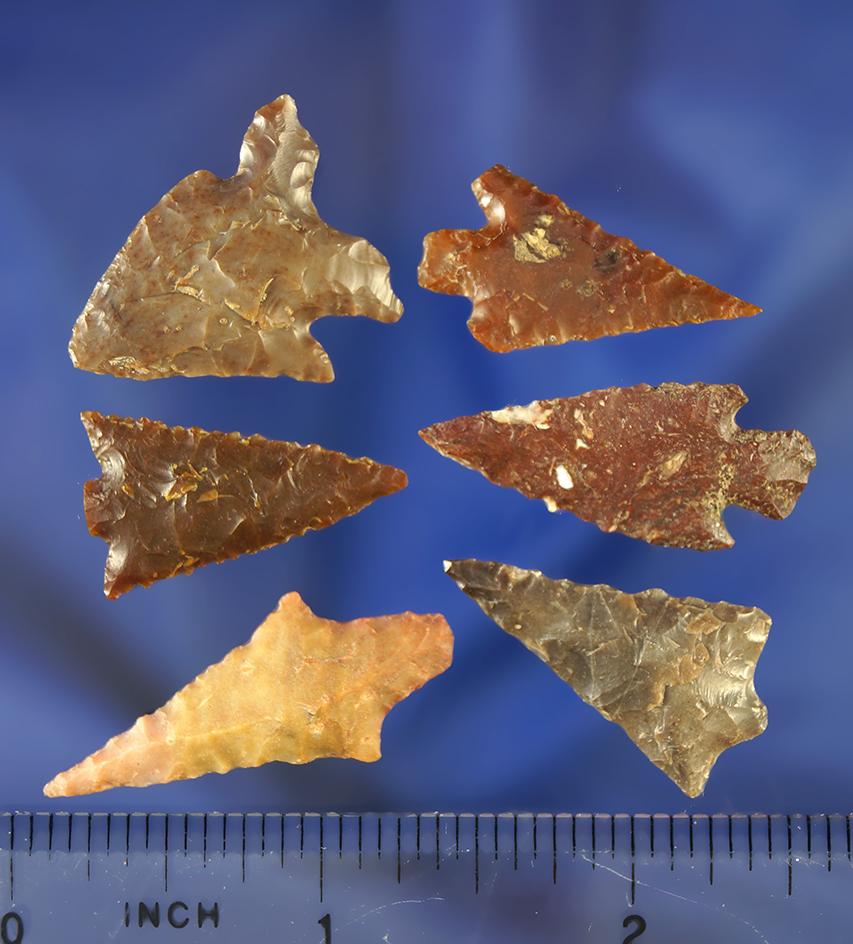 Group of six assorted Columbia River arrowheads, largest is 1 1/2".