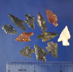 Group of 12 assorted Columbia River arrowheads, largest is 13/16".    Columbia.