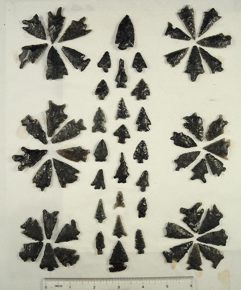 Nice selection of obsidian arrowheads found in Fort Rock, Oregon which are glued to a board.