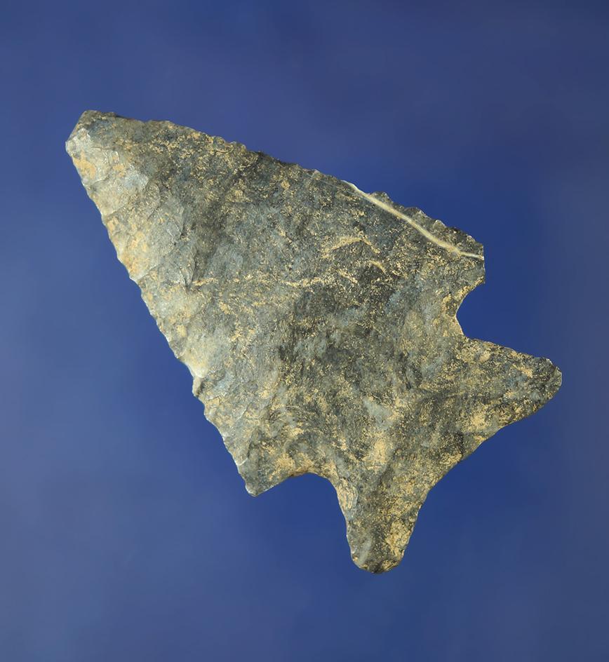 2 9/16" Coshocton Flint Archaic Cornernotch knife found in Ohio.