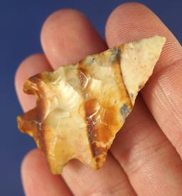 Colorful 1 3/4" Flint Ridge Flint Cornernotch found in Licking Co.,  Ohio.