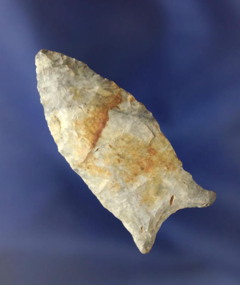 Rare material type! 2" Paleo Quad found in Southern Illinois- Indiana Green Flint - Motley COA.