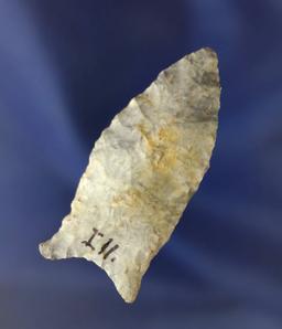 Rare material type! 2" Paleo Quad found in Southern Illinois- Indiana Green Flint - Motley COA.