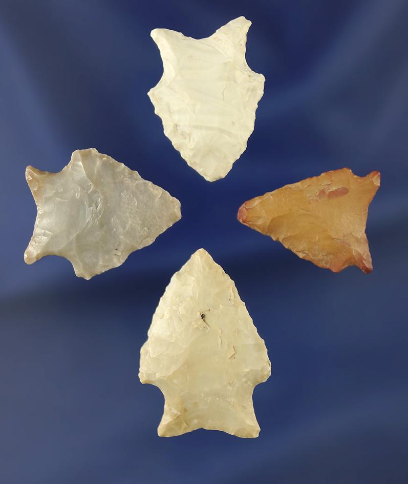 Set of four Hardaway arrowheads found in the Midwest and southern U.S. Largest is 1 1/4".