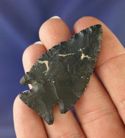 Paper thin! 2" Coshocton Flint Jack's Reef Intrusive Mound point found in Ohio. Davis COA.