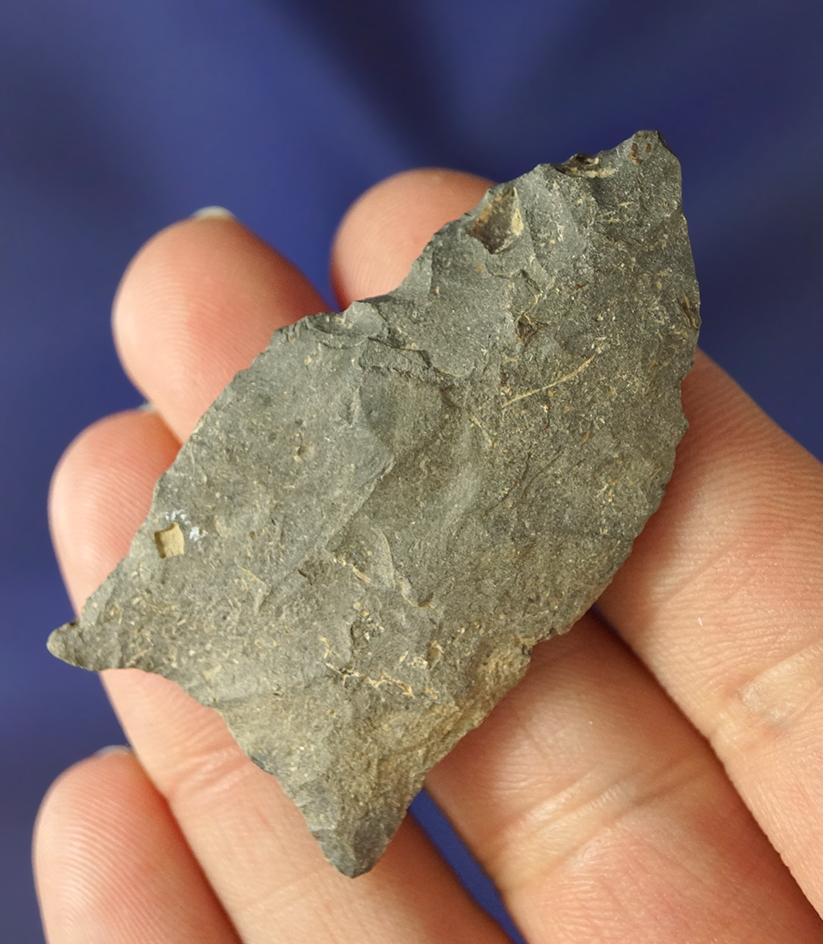 2" Paleo Hi-Lo Point made from Nellie Chert and found in Ashland Co., Ohio.  Ex. Hooks.