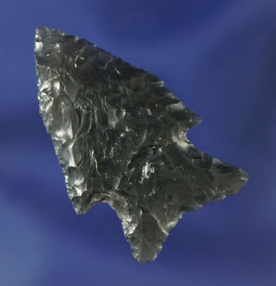 1 1/2" Elko Wide Base found in Oregon that is nicely flaked from semi-translucent Obsidian.
