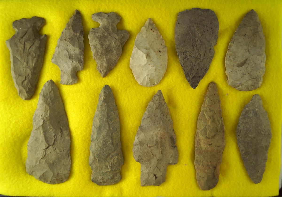 Set of 11 Flint knives found in Michigan, largest is 4 1/16". Ex. Phil Waigel collection. It's