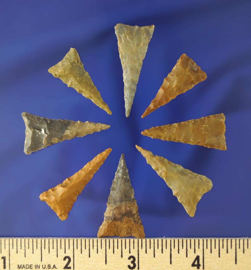 Set of eight nice Triangle point found in Kentucky. Largest is 1 3/8" long.