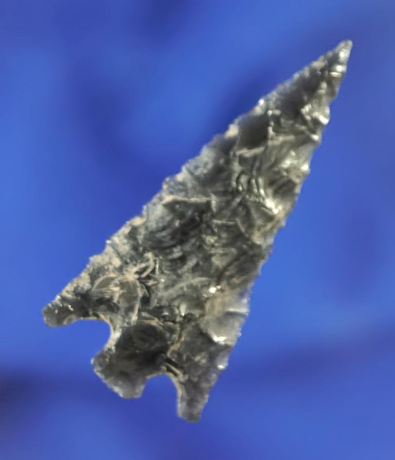 Excellent style flaking on this 1 1/2" Columbia Plateau made from obsidian- Columbia River.